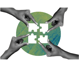 Organización